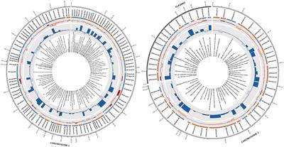 Genome-Wide Discovery of Putative sRNAs in Paracoccus denitrificans Expressed under Nitrous Oxide Emitting Conditions